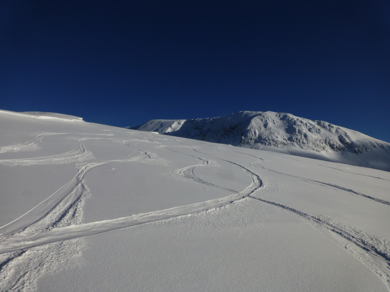#2 Traces sur l Traces sur l'arête : Traces sous le sommet