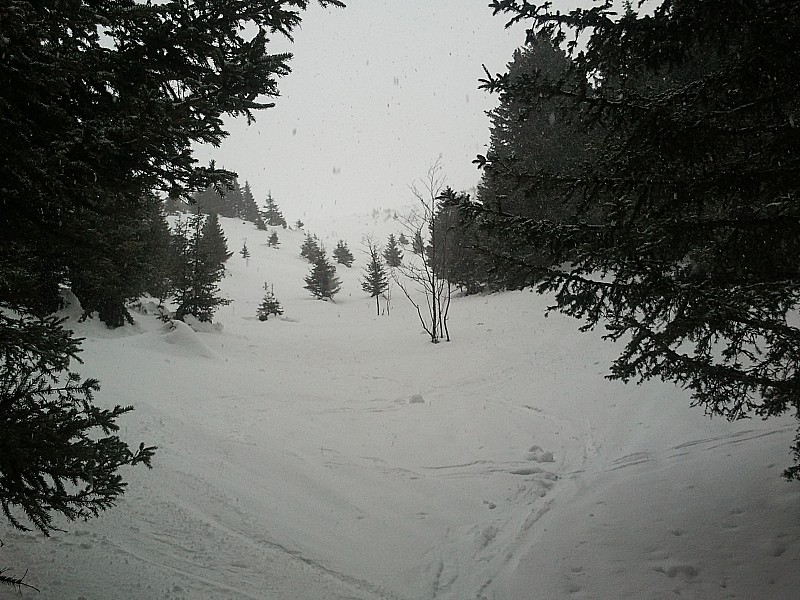 #7 Crête des Salières : Crête des Salières, la combe à la sortie du bois, météo bof bof... Crête des Salières : Crête des Salières, la combe à la sortie du bois, météo bof bof...