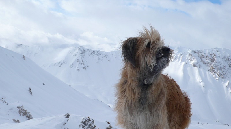 #3 Cali au Col : Cali au Col, un brin fatiguée Cali au Col : Cali au Col, un brin fatiguée