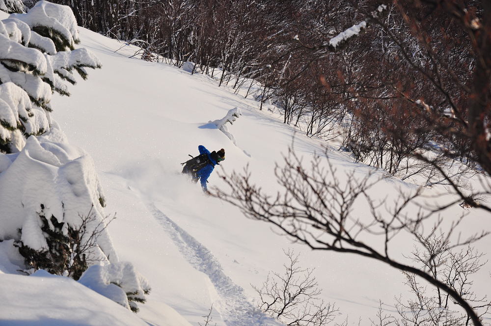 #10 Forêt : Bon ski par là Forêt : Bon ski par là