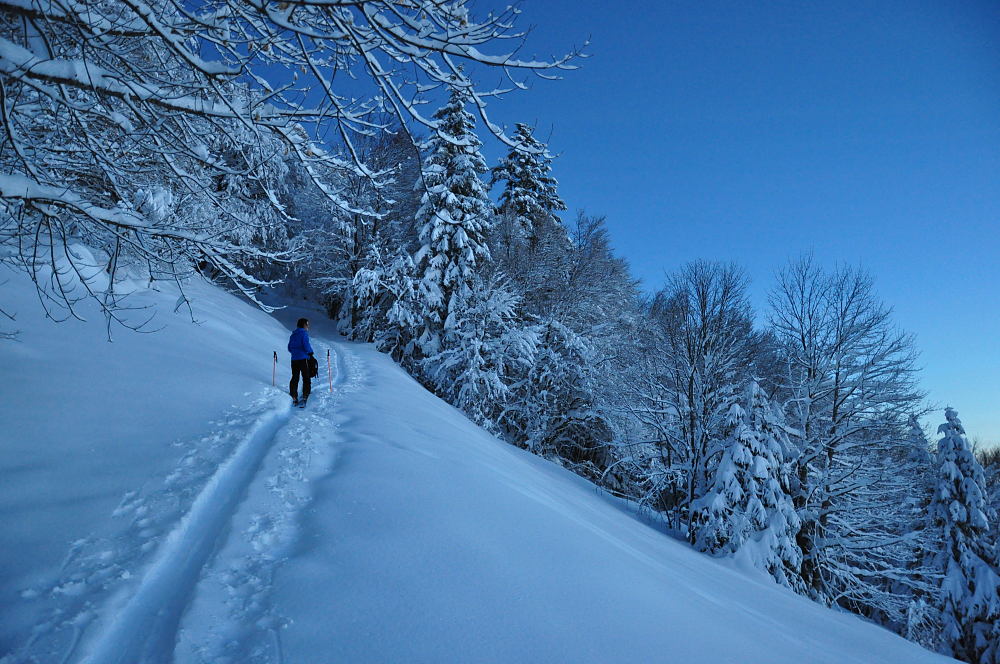 #1 Nuit bleue : La journée la plus courte de l Nuit bleue : La journée la plus courte de l'année arrive lentement