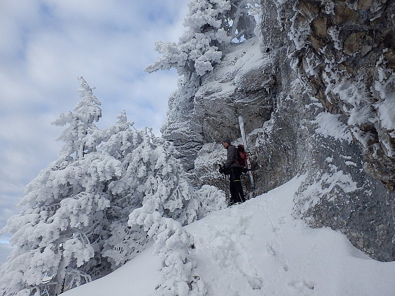 #12 Chartreuse... : ambiance... Chartreuse... : ambiance...