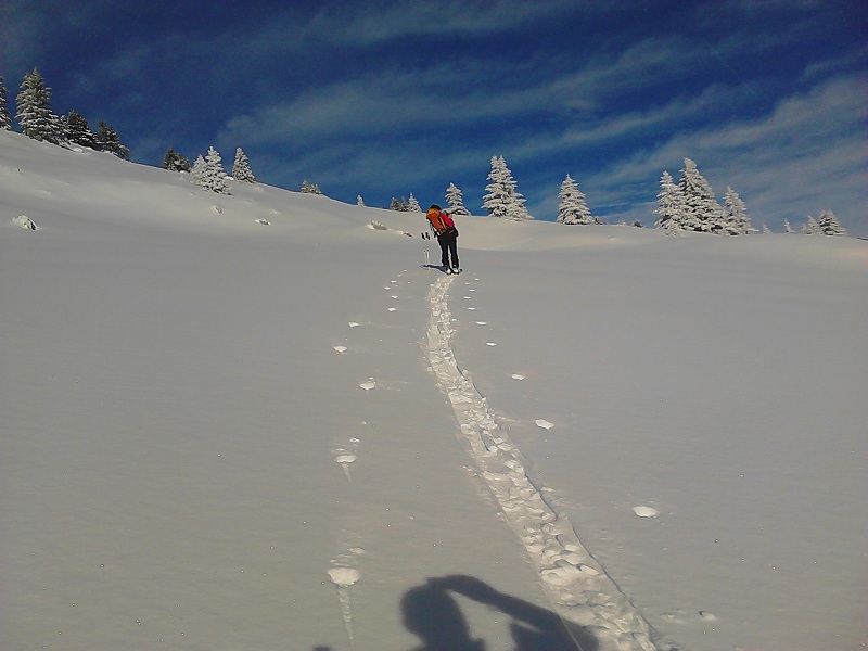 #17 Petit Som : Véro à la trace, trop la caisse Petit Som : Véro à la trace, trop la caisse