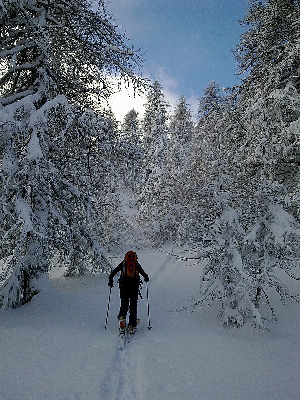 #2 Fouran 18.12 : La trace s Fouran 18.12 : La trace s'arrêtait avant la sortie du bois.