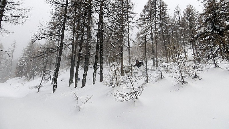 #10 Dans les bois : Bon ski quand même! Dans les bois : Bon ski quand même!
