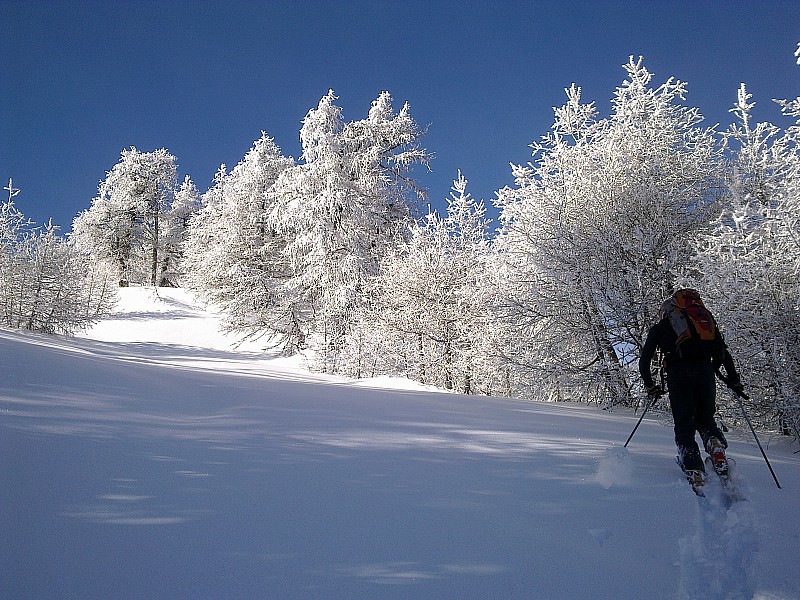 #4 Fouran 18.12 : Magnifique Fouran 18.12 : Magnifique