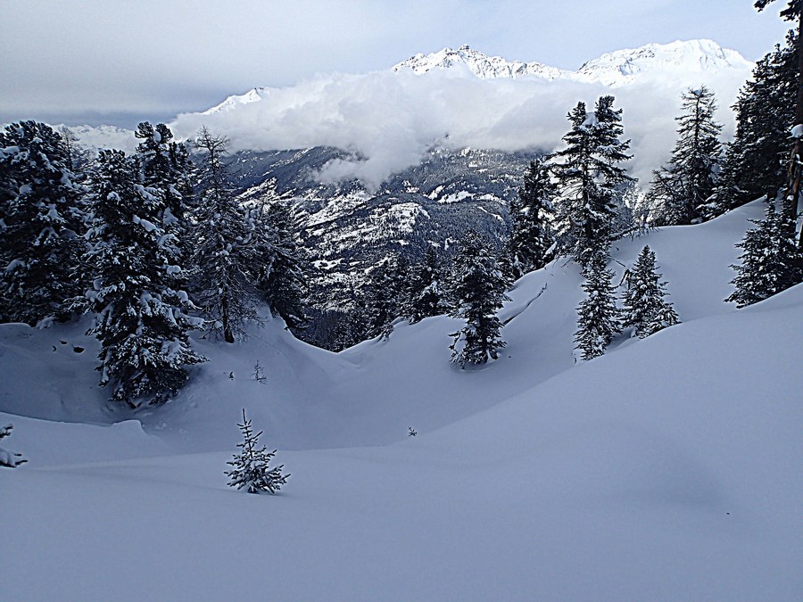 #12 combette : Half pipe naturel combette : Half pipe naturel