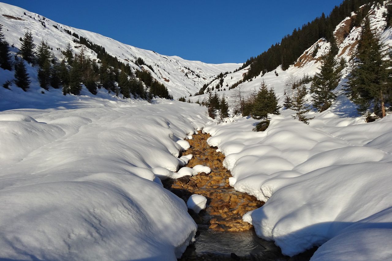 Ruisseau du Jovet : Combe généralement exposée aux avalanches.