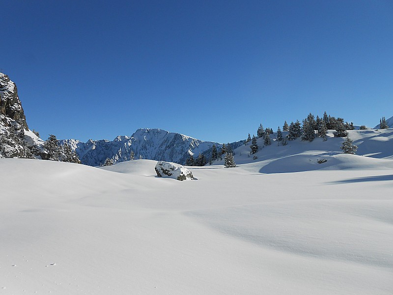 #12 carte postale carte postale