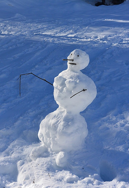 Bonhomme de neige : Ou madame de neige ?