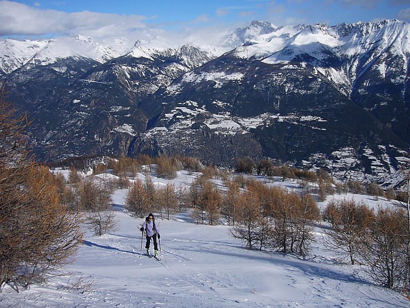 #1 Sortie du bois Sortie du bois