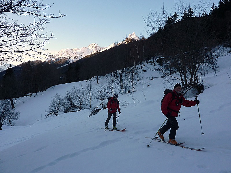 #1 dans l dans l'ombre : Vivement la sortie de forêt bien qu'on y soit pas encore entré!