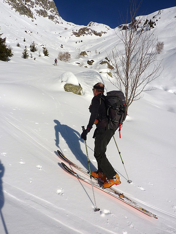 #5 sherpa : tu portes un arbre JPol mais les boules sont plus bas dans la forêt!!! sherpa : tu portes un arbre JPol mais les boules sont plus bas dans la forêt!!!