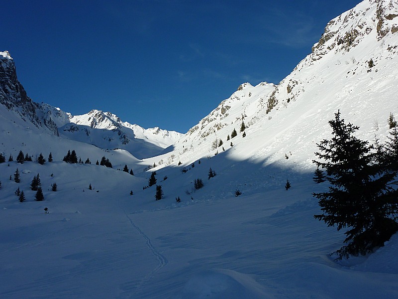 #1 Combe du Merlet : Des coulées de printemps... :-) Combe du Merlet : Des coulées de printemps... :-)