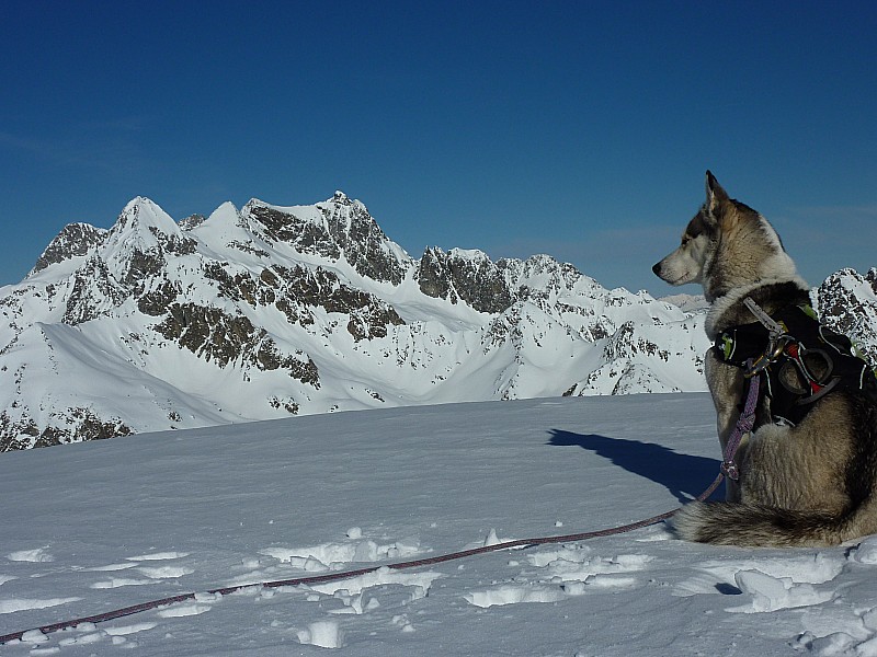 #6 Pic du Frêne : Un objectif pour Niouk? Pic du Frêne : Un objectif pour Niouk?
