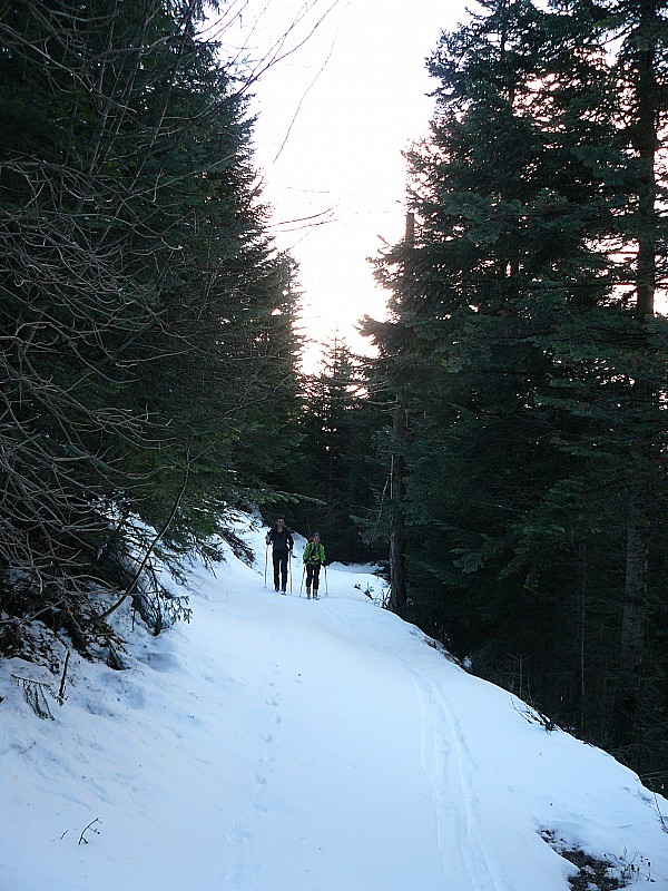#1 route forestière : bonne dans l route forestière : bonne dans l'ensemble malgré quelques courts portages