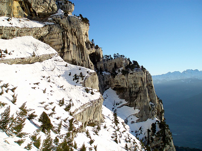 #3 Cirque : Chamois au balcon Cirque : Chamois au balcon