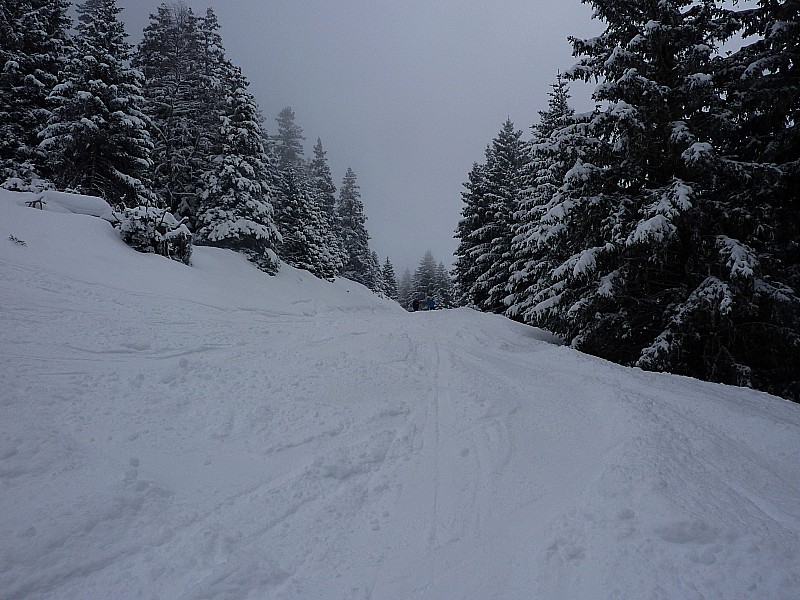 #1 Sorite de pistes : La bas de la combe est deja bien tracé Sorite de pistes : La bas de la combe est deja bien tracé