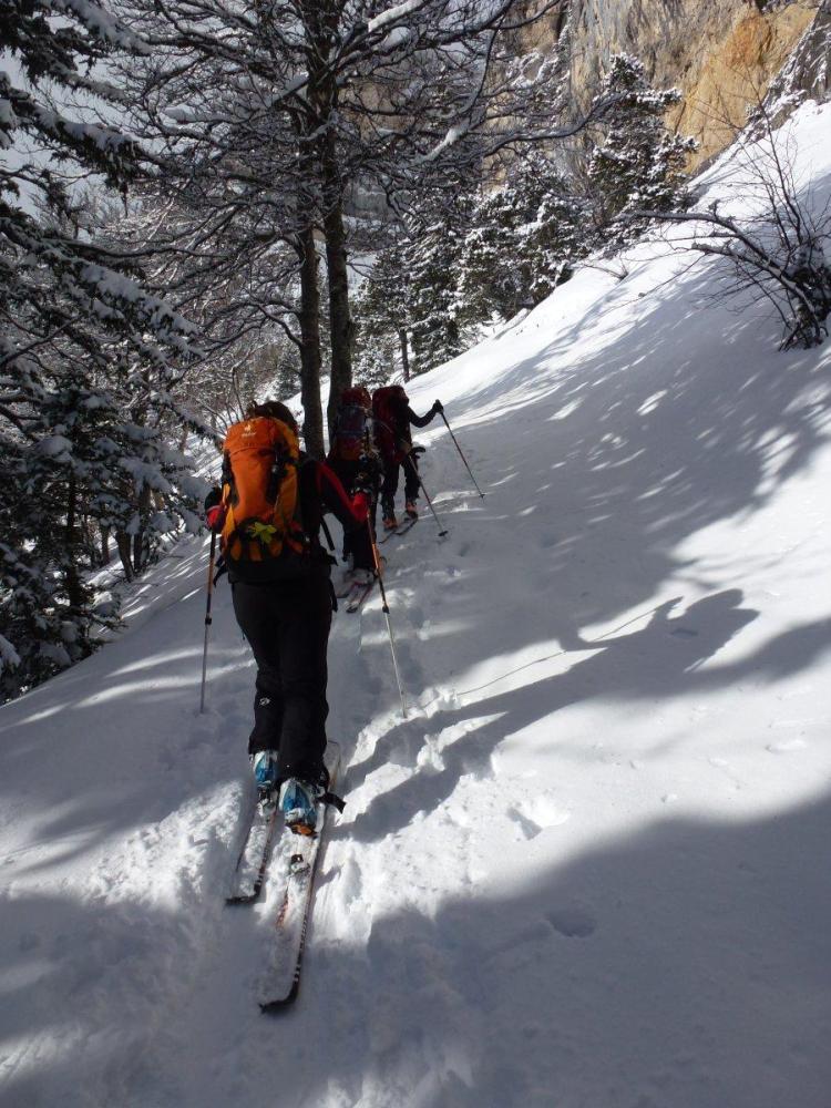 #1 Montée : Dans la forêt Montée : Dans la forêt