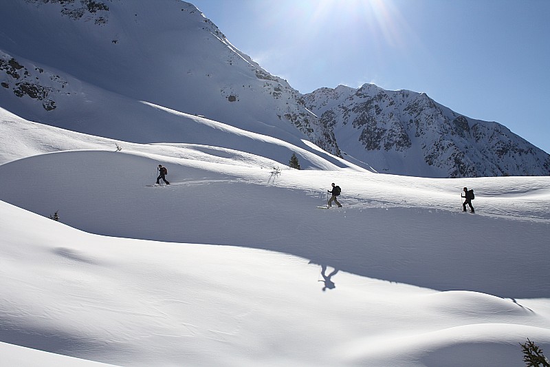 #3 jeux d jeux d'ombres : sont-ils 3 ou 4 ?