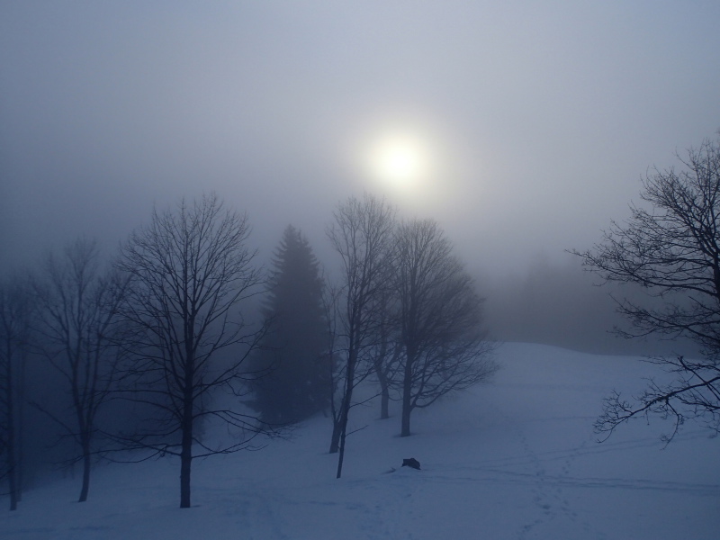 #1 Soleil : ça fait du bien même si on s Soleil : ça fait du bien même si on s'y attend !