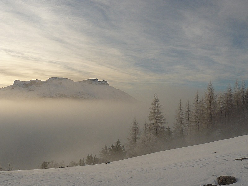 #1 sortie du brouillard : paysages dévoluard ! sortie du brouillard : paysages dévoluard !