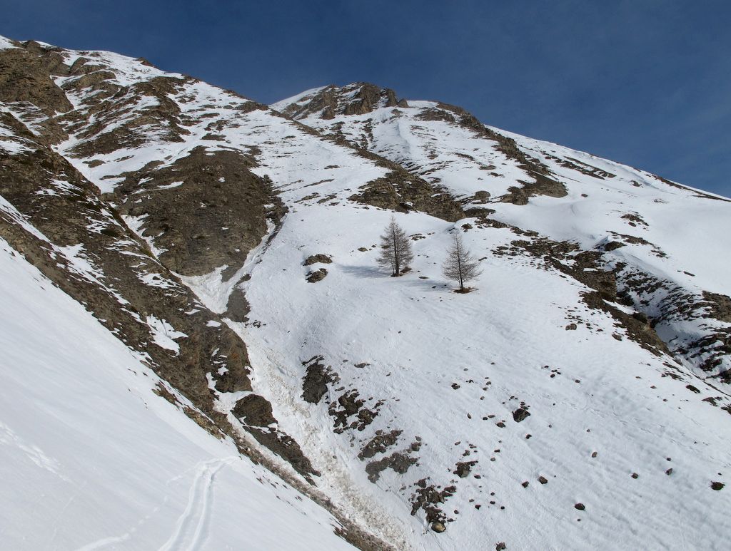 Le Ravin de l'Alisier : Faut pas trainer, ici les pierres pleuvent, surtout quand les chamois batifolent au dessus...