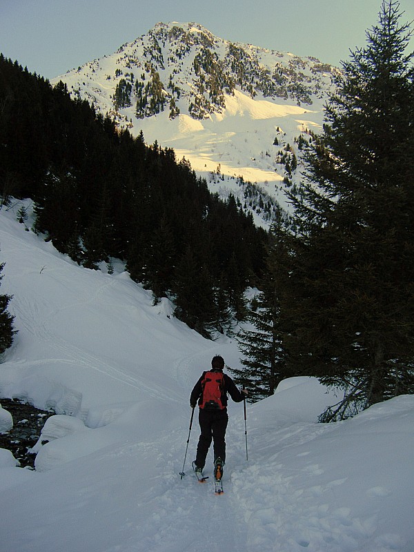 #3 sortie de la forêt : on sort de la forêt, ouf ! sortie de la forêt : on sort de la forêt, ouf !