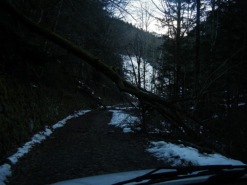 #12 retour1 : des bûches.... retour1 : des bûches....