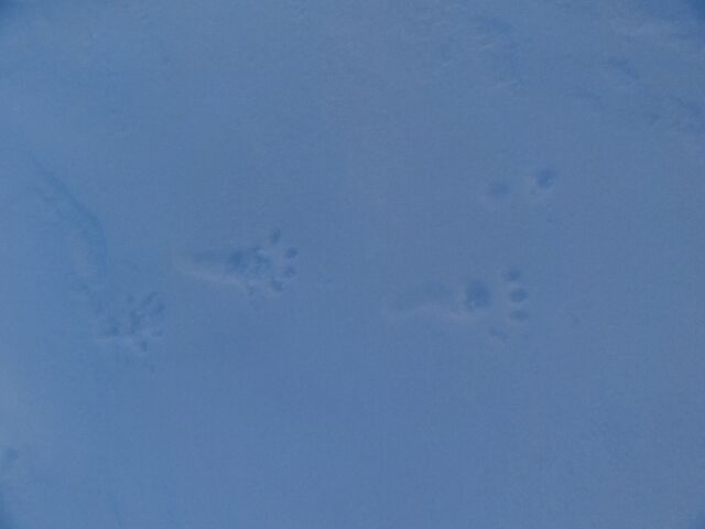 #1 Empreinte Empreinte