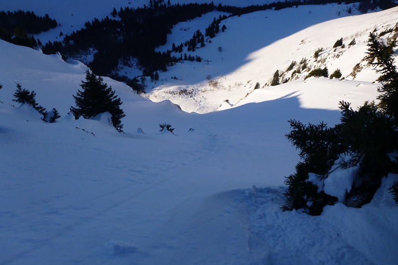 #4 triangle sommital : un départ tranquille et avec les épicéas qui vont bien pour vérifier la stabilité de la neige... triangle sommital : un départ tranquille et avec les épicéas qui vont bien pour vérifier la stabilité de la neige...