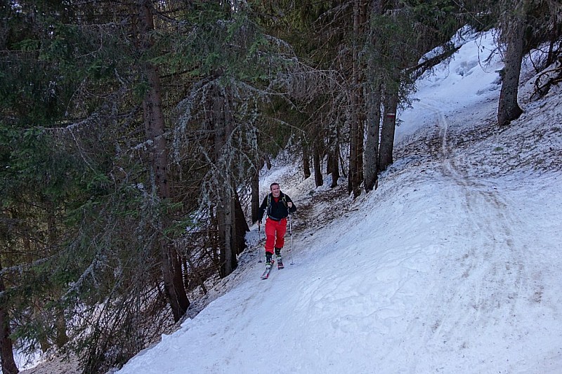 #1 Aigleton : La forêt passe bien Aigleton : La forêt passe bien