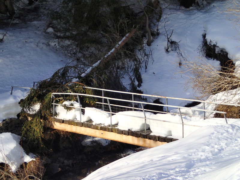 #1 Passerelle : Elle a bien résisté au choc! Passerelle : Elle a bien résisté au choc!