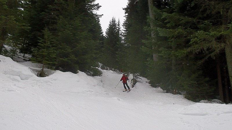 #5 ski cross 1 ski cross 1