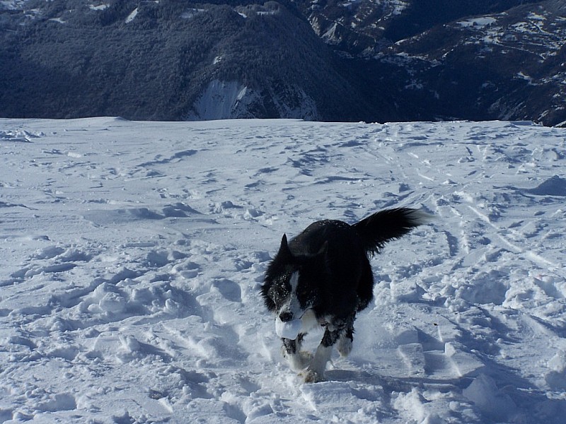 #9 Cime de Lancheton : Les copains du jour, joueur!!!! Cime de Lancheton : Les copains du jour, joueur!!!!