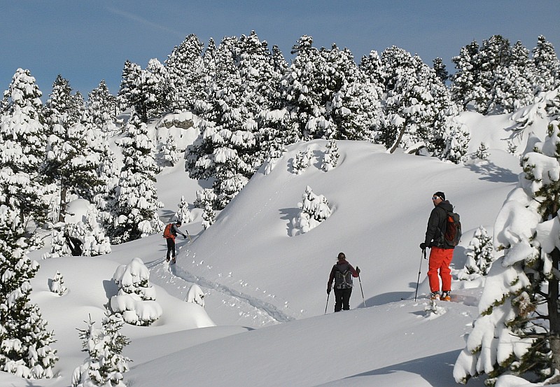 #16 Plateau : Traversée du vallon de Marcieu Plateau : Traversée du vallon de Marcieu