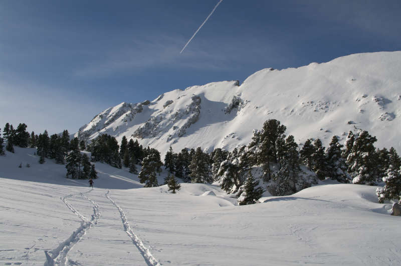 #8 plateau : c plateau : c'est plat aussi