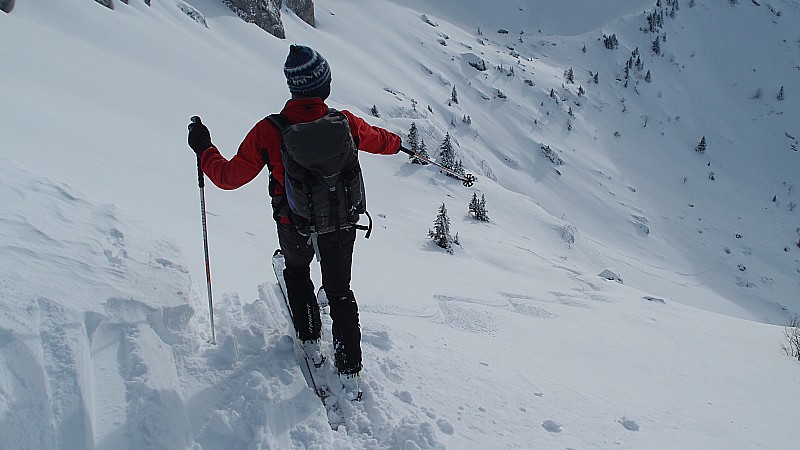 #23 Toz sur l Toz sur l'épaule : C'est par là!