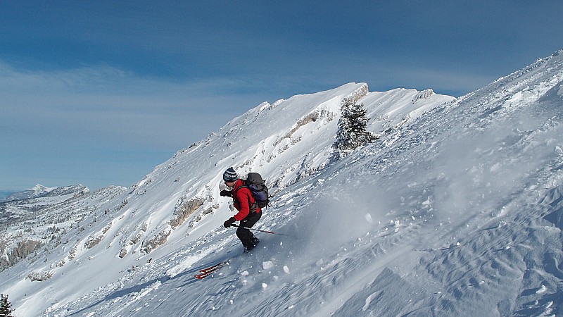 #13 Sous le regard des Crocs Sous le regard des Crocs