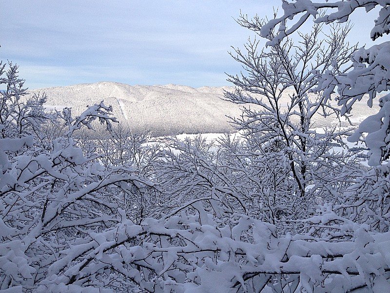 #2 Plateau du Vercors : Belle nuances de gris Plateau du Vercors : Belle nuances de gris