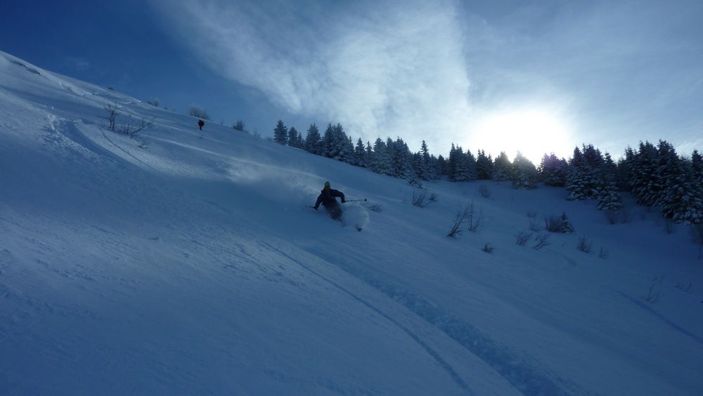 #16 Freerideur : belle attitude et seulement 2 traces dans le secteur Freerideur : belle attitude et seulement 2 traces dans le secteur