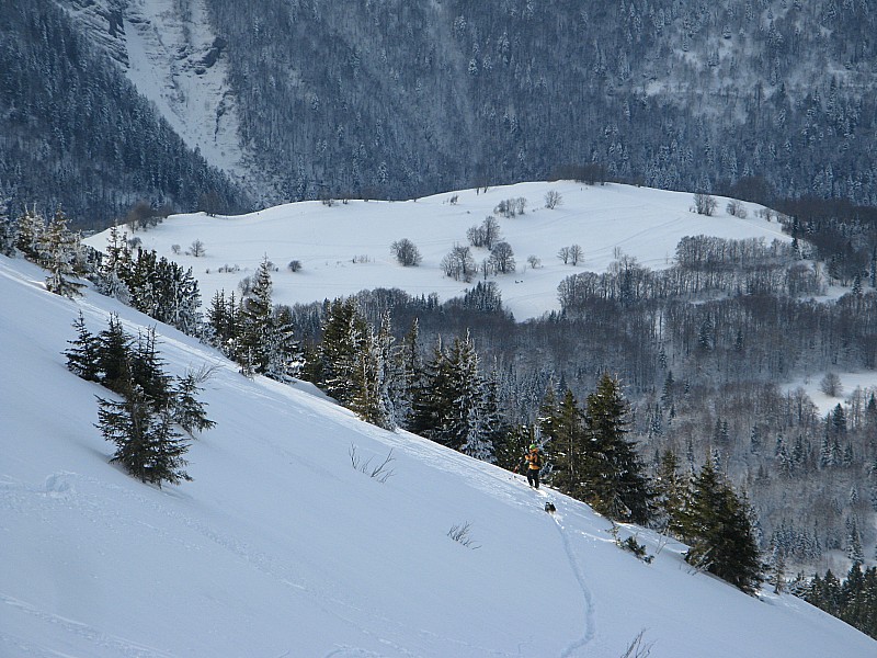 #2 Skieur et son chien : Une belle equipe! Skieur et son chien : Une belle equipe!