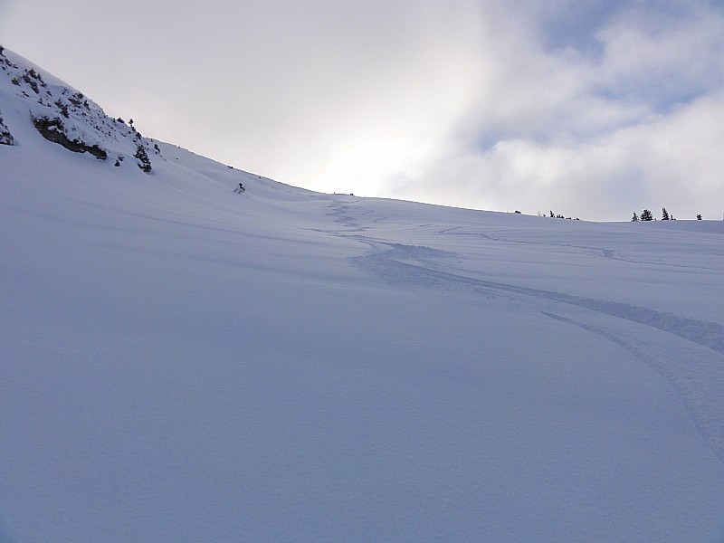 #4 traces traces