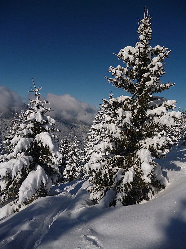 #1 C C'est l'hiver! : Il a neigé.