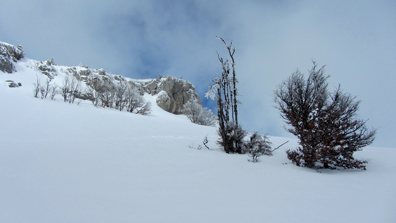 #1 Charmant Som : à la sortie de la forêt sous le Charmant Som(met) Charmant Som : à la sortie de la forêt sous le Charmant Som(met)