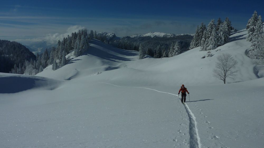 #7 Chartreuse hivernale : des paysages somptueux Chartreuse hivernale : des paysages somptueux