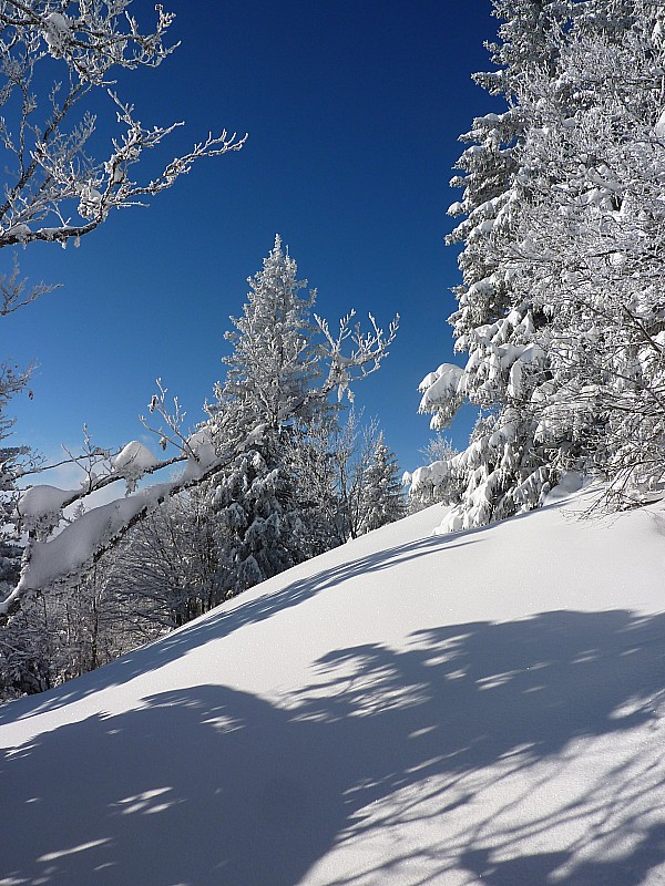 #1 montée : neige, plâtre et scintillements montée : neige, plâtre et scintillements