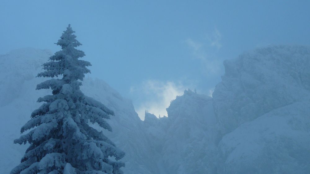 #14 Cretes qui fument : le sommet du Charmant Som est à gauche du sapin Cretes qui fument : le sommet du Charmant Som est à gauche du sapin