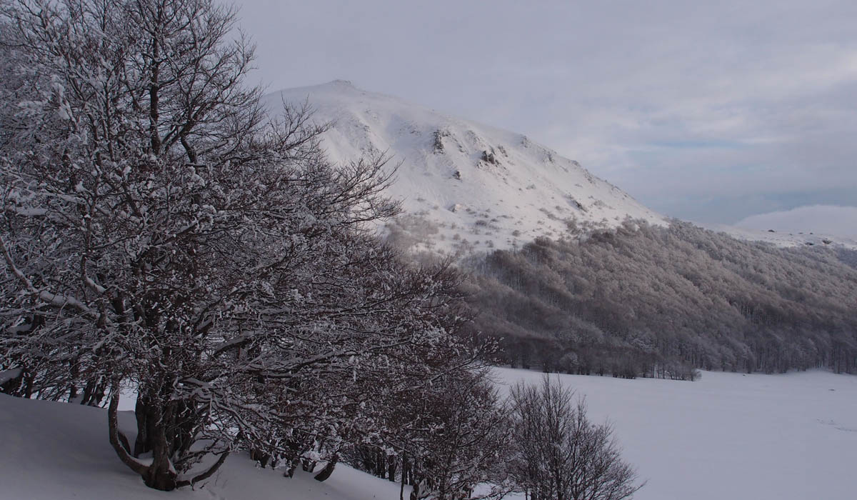 Puy Gros : c'est pas le tout mais faut rentrer, et on constate que le Gros est bien dégarni en face W, alors que je brasse 35 de peuf