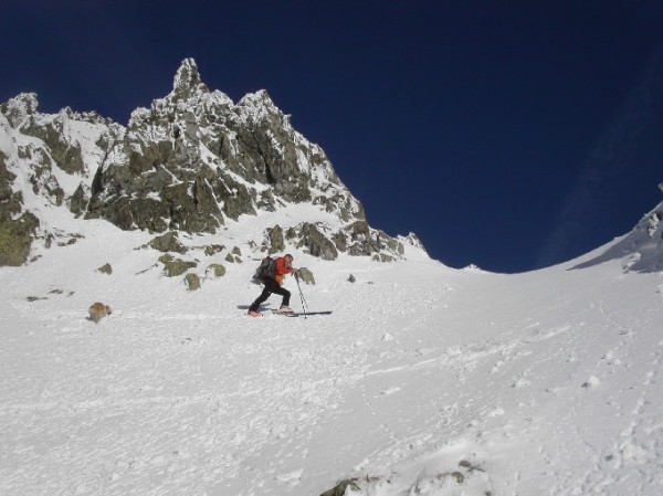 #2 Loïc à la tache : Le Traçaussaure reprend du service, toujours aussi efficace ! Loïc à la tache : Le Traçaussaure reprend du service, toujours aussi efficace !